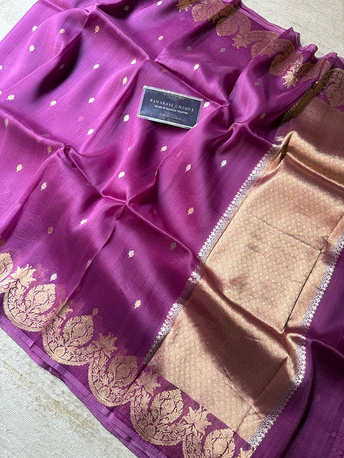 PURPLE SCALLOP BORDER KORA