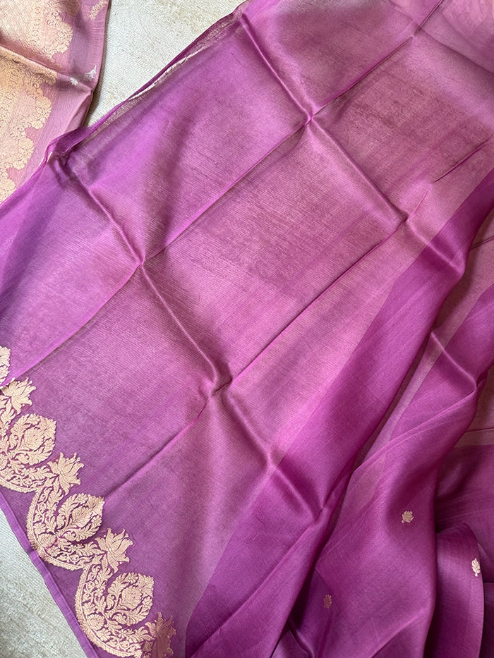 PURPLE SCALLOP BORDER KORA