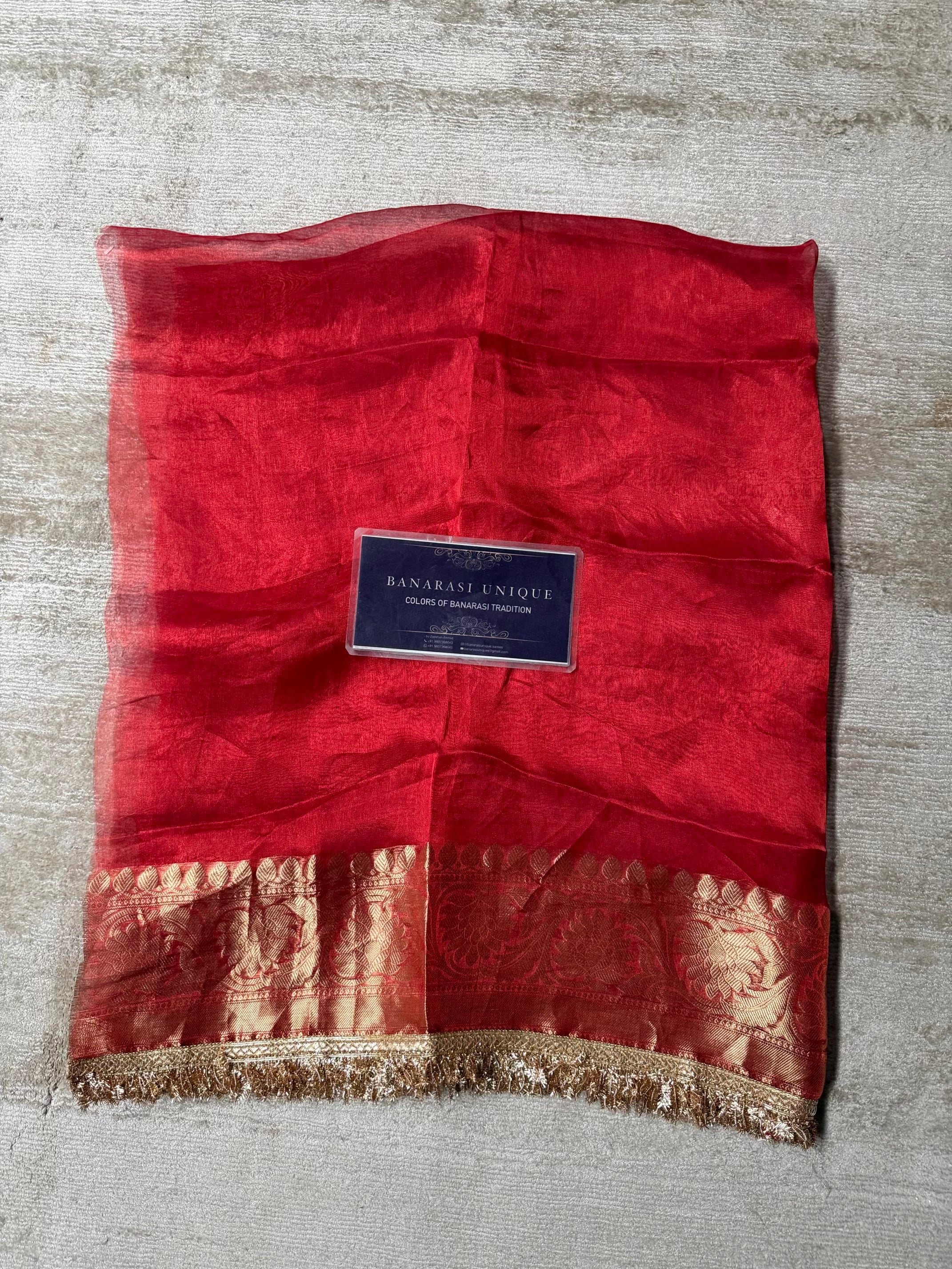 Teej Special Pure Tissue Silk Banarasi Saree – Red Hand Embroidered Luxury Saree