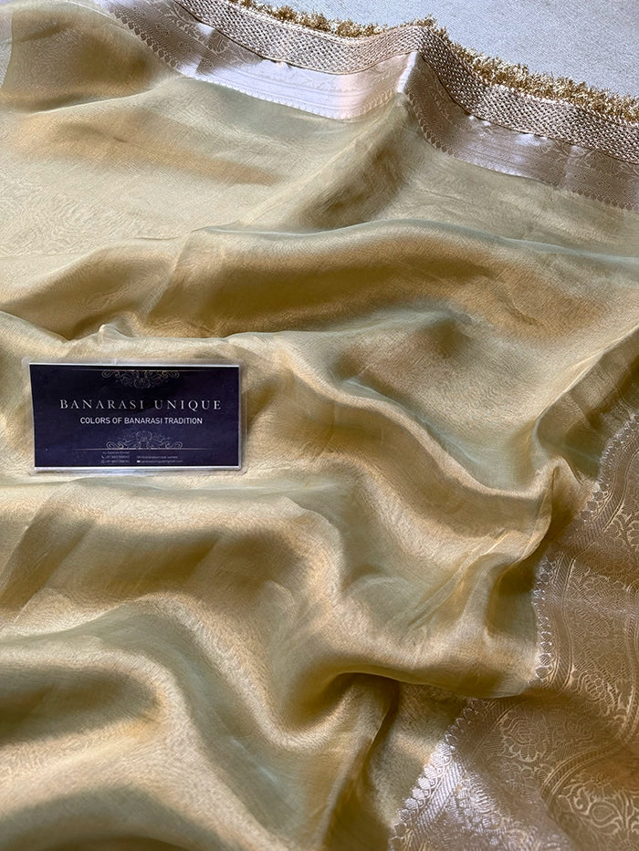 PLAIN PURE TISSUE SAREE with BROCADE BLOUSE -  OLIVE GREEN