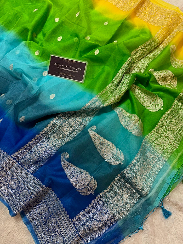 KHADDI CHIFFON SILVER ZARI KADHUWA SAREE - RANGKAAT MULTI COLOR