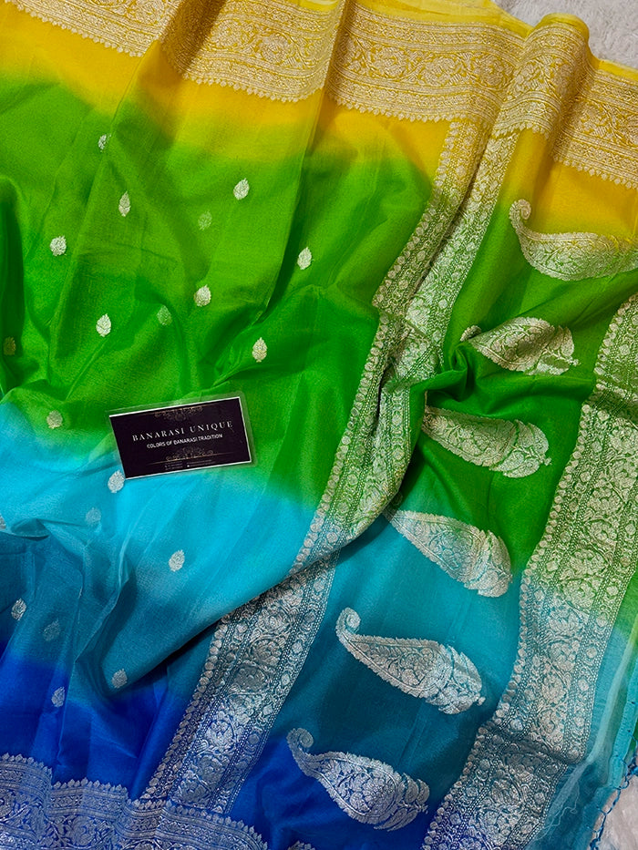 KHADDI CHIFFON SILVER ZARI KADHUWA SAREE - RANGKAAT MULTI COLOR